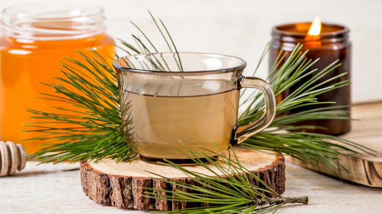 Pine Pinus needle tea infusion with honey, with a jar of honey, a candle, and more pine needles in the background.