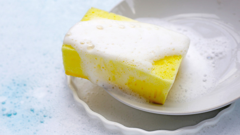 yellow sponge with soap bubbles and white dishes