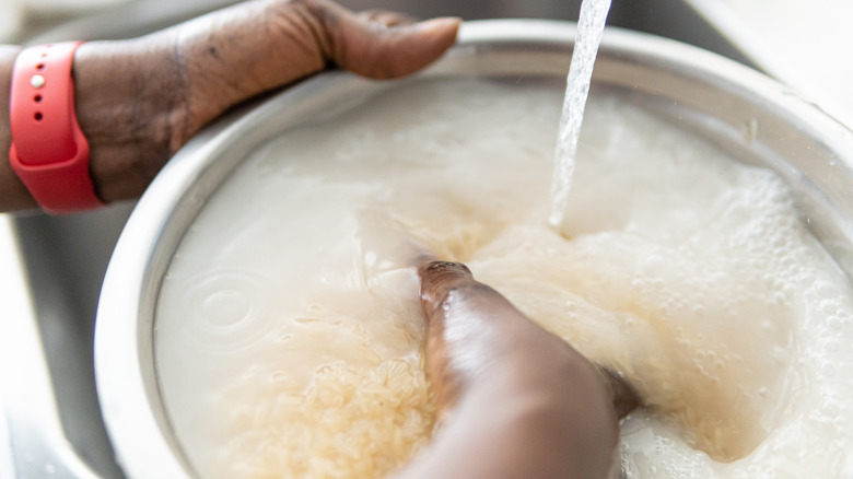person washing rice