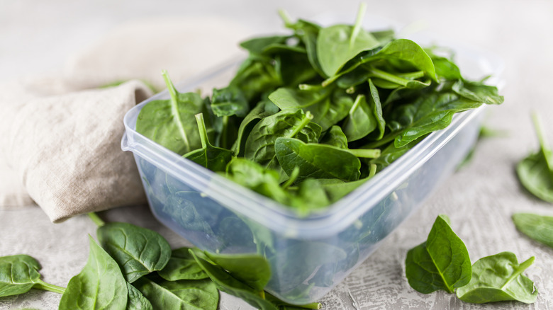 Baby spinach spilling out of an open plastic storage container