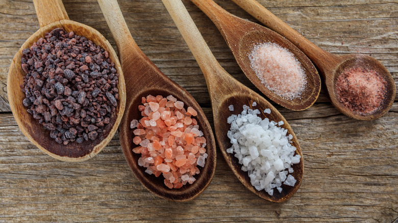 spoons of different salts