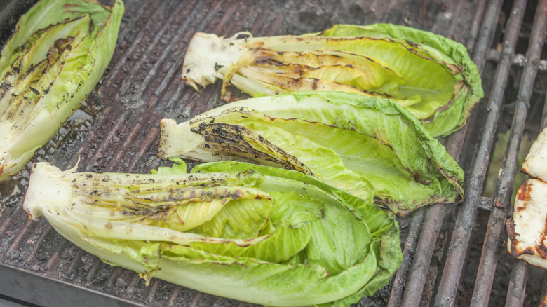 lettuce on grilled