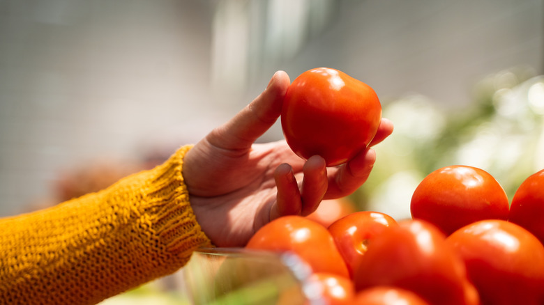 Closeup of a hand holding a red, ripe tomato.