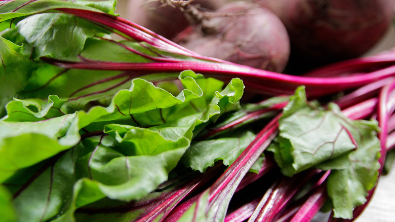 Beetroot with Leaves