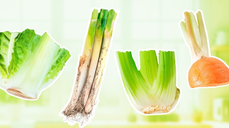 Vegetable Scraps Collage