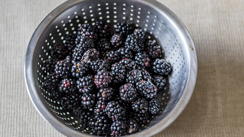 blackberries in a strainer