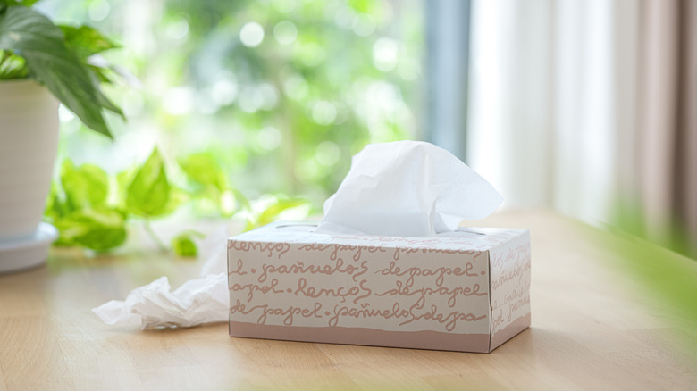 A tissue box, still full of tissues on a wooden table in the foreground in front of a bright window, houseplants and curtains behind it.