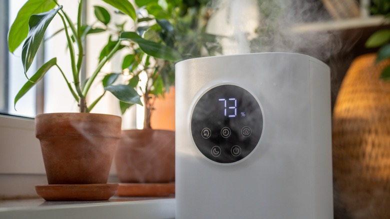 A humidifier among indoor plants