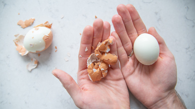 Peeled hard-boiled egg in hands