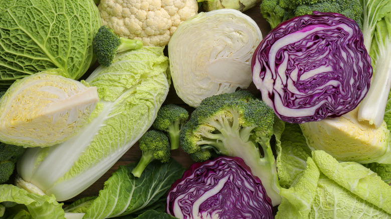 Different types of cabbage and assorted vegetables