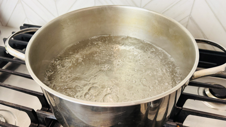 Water boiling in a pot