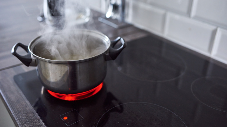 A stainless steel pot on electric stovetop.