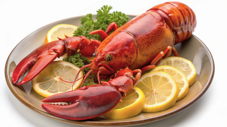 A boiled Maine Lobster on a plate
