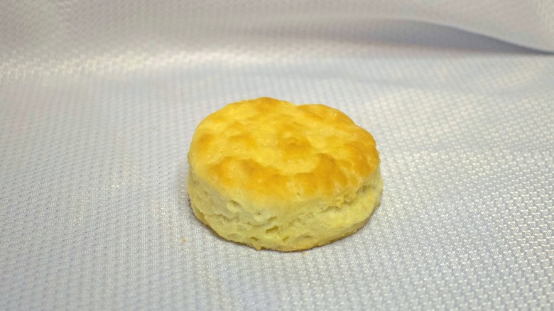 A single biscuit against a white background.