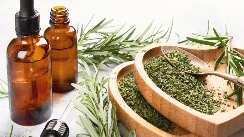 different types of rosemary on white background