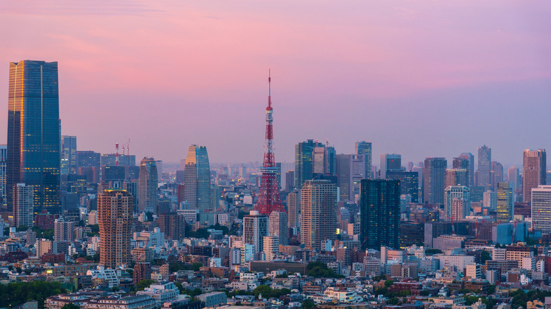 The Tokyo city skyline