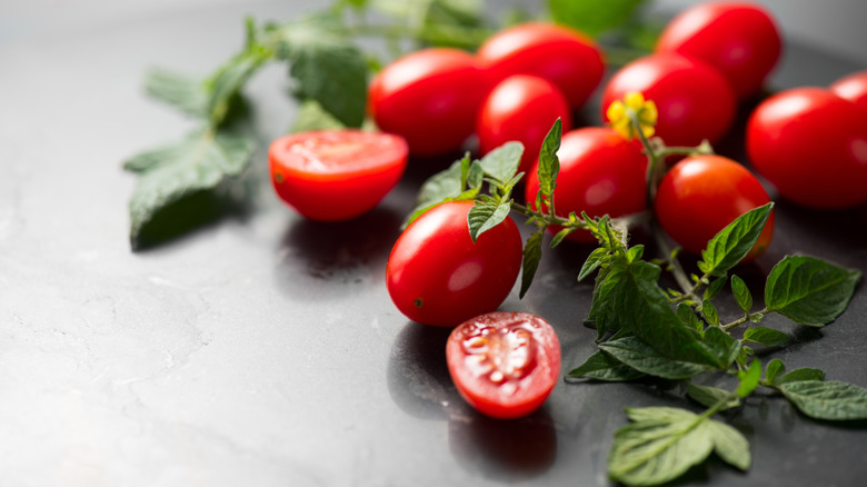 Cherry tomatoes sit on a grey table with a leafy green vine.