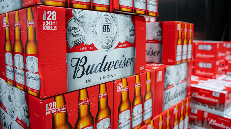 Boxes of Budweiser beer stacked  on top of each other
