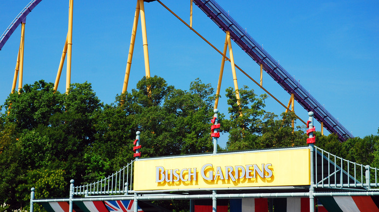 Busch Gardens in Virginia