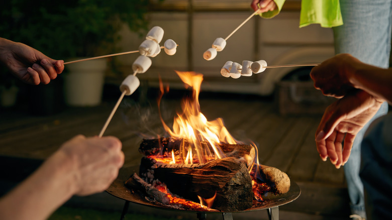 Hands roasting marshmallows over a fire pit