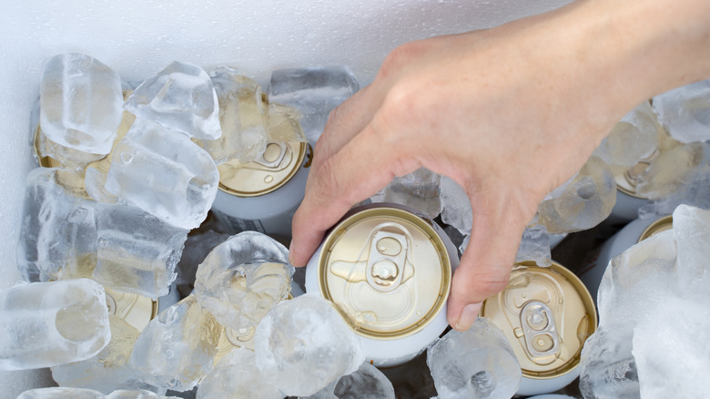 cold cans inside a cooler of ice