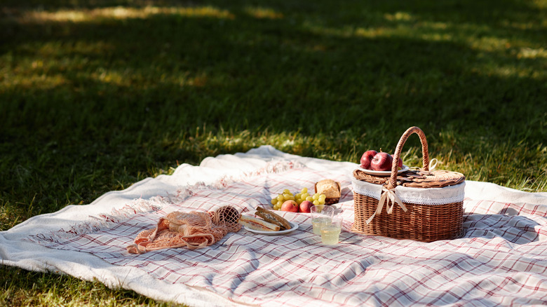 A picnic blanket and basket set up on some grass