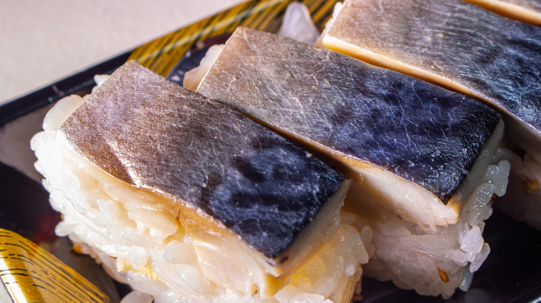 individual pacific mackerel nigiri