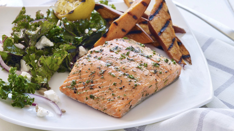 Cooked salmon fillet