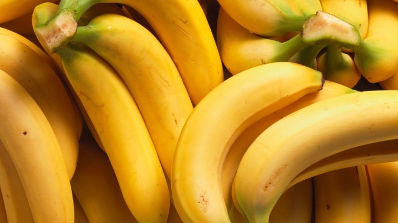 Bunches of bananas up close as seen in fruit markets like Seattle's Top Banana market.