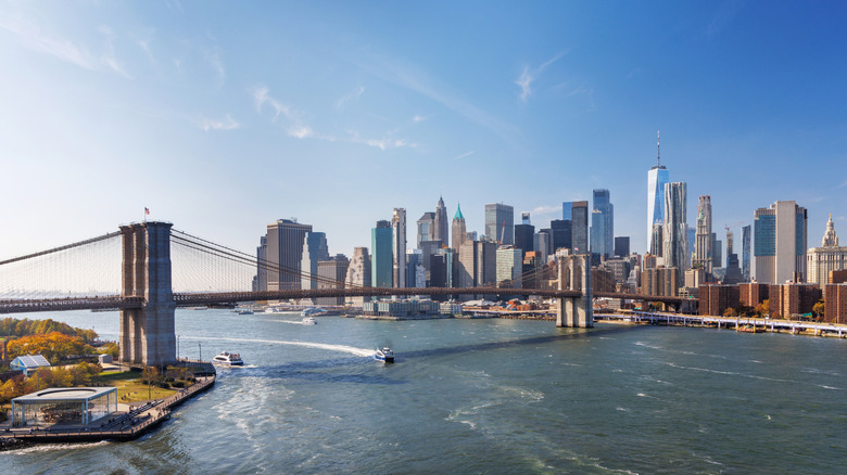 Brooklyn Bridge Park, the East River, and downtown Manhattan skyline are photographed one frame.