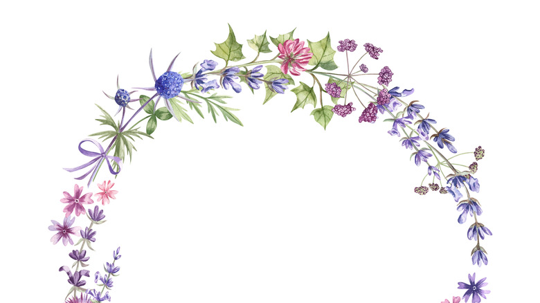 watercolor flowers on white background