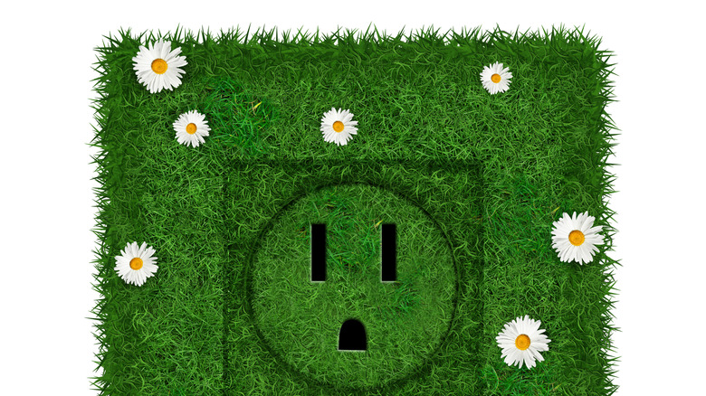 green socket with grass and flowers