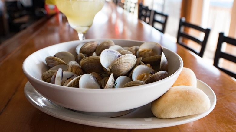 Clam bowl with a side of rolls at Steamers Clam Bar & Grill in Cedar Key, FL