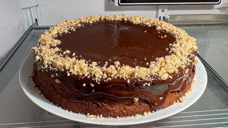 Flourless Italian gianduja chocolate cake on platter in refrigerator