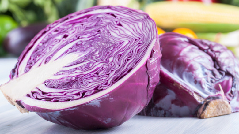 Red cabbage cut in half
