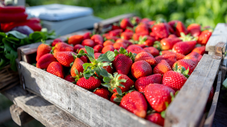 Large amount of strawberries in a wooden container outdoors