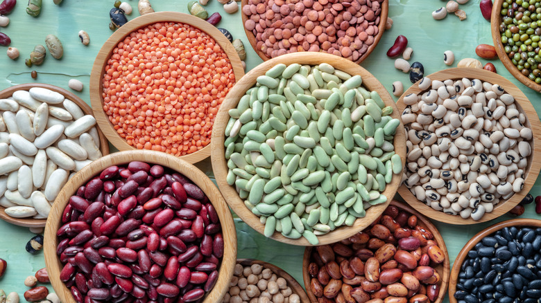 Lentils, navy beans, red kidney beans, and other legumes