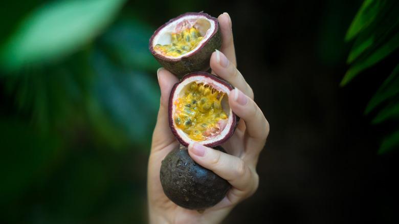 Person holding passion fruits, one cut in half, in front of a jungle leaf background