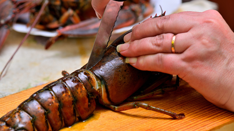 Person preparing a lobster tail