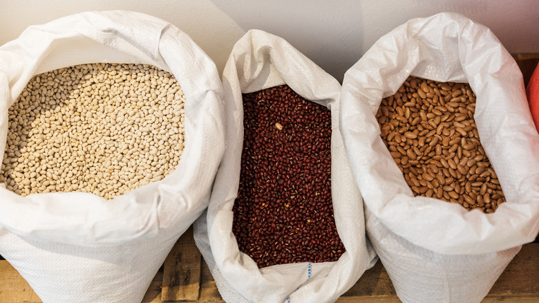 three varieties of pinto beans in cloth sacks