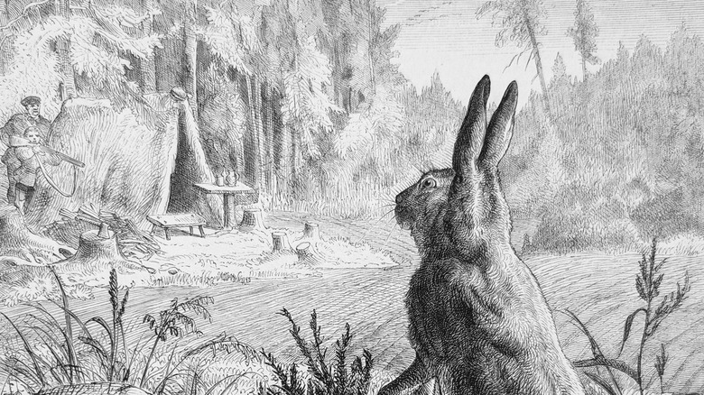 old painting of hunting rabbit