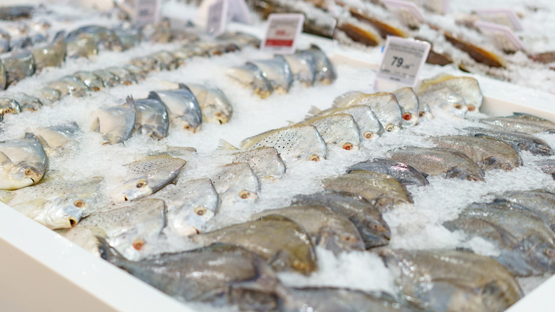 fish sold at market
