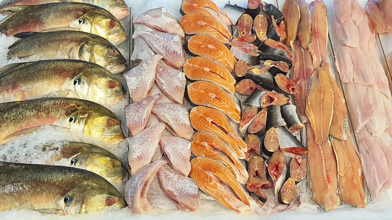 varying fish laid out on ice