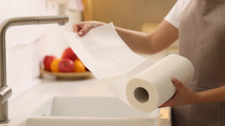 woman holding a roll of paper towels