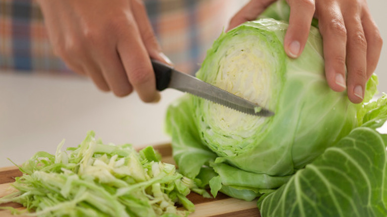 A cook cutting a cabbage on a cutting board