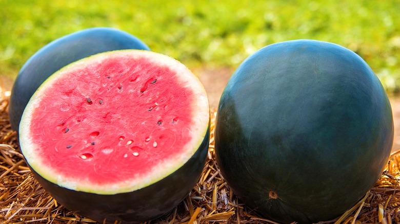 One halved black watermelon and one whole black watermelon on a pile of hay