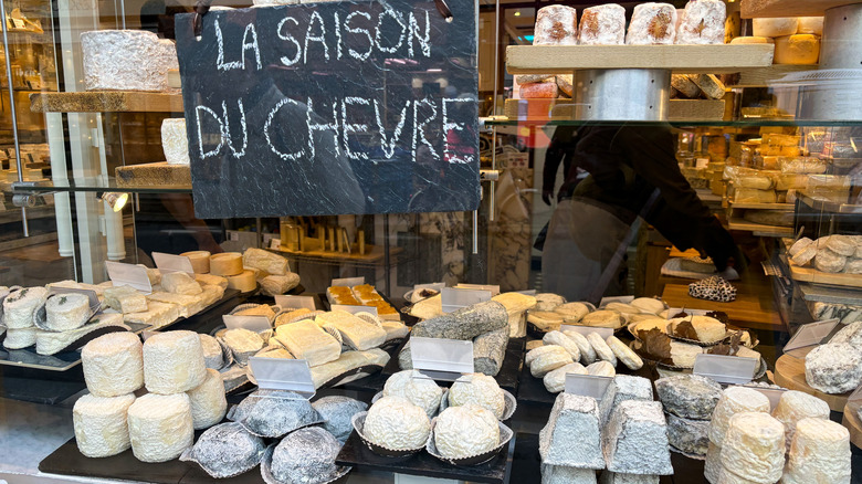 Various types of goat cheese in a cheese shop display