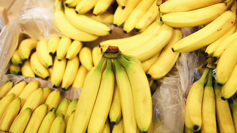 Clusters of fresh bananas sitting on plastic