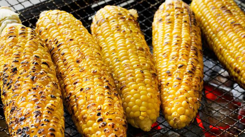 Corn on the cob on the grill