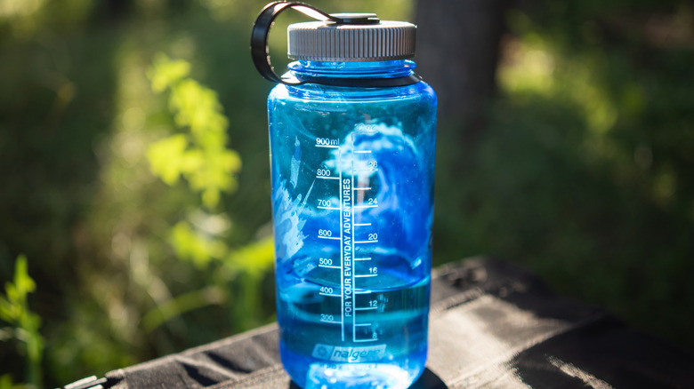 Nalgene water bottle in front of a green nature backdrop
